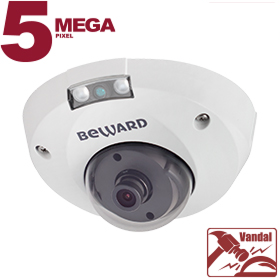 IP камера B5320DMR Beward