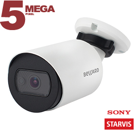 IP камера SV3210RC Beward