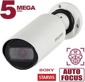 IP камера SV3218RZ Beward