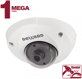 IP камера B1210DM Beward