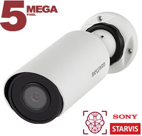 IP камера SV3218R2 Beward