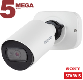 IP камера SV3210RCB Beward